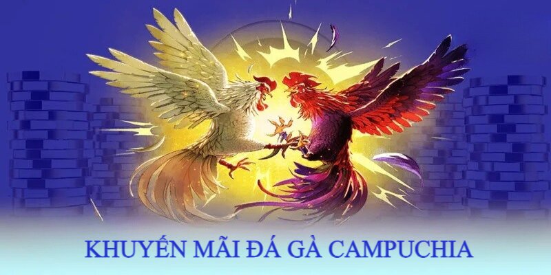 Đá Gà Campuchia - Sàn Đấu Đẳng Cấp Của Những Chiến Kê Hàng Đầu 3 Khuyến mãi giá trị độc quyền tại sảnh đá gà Sin88